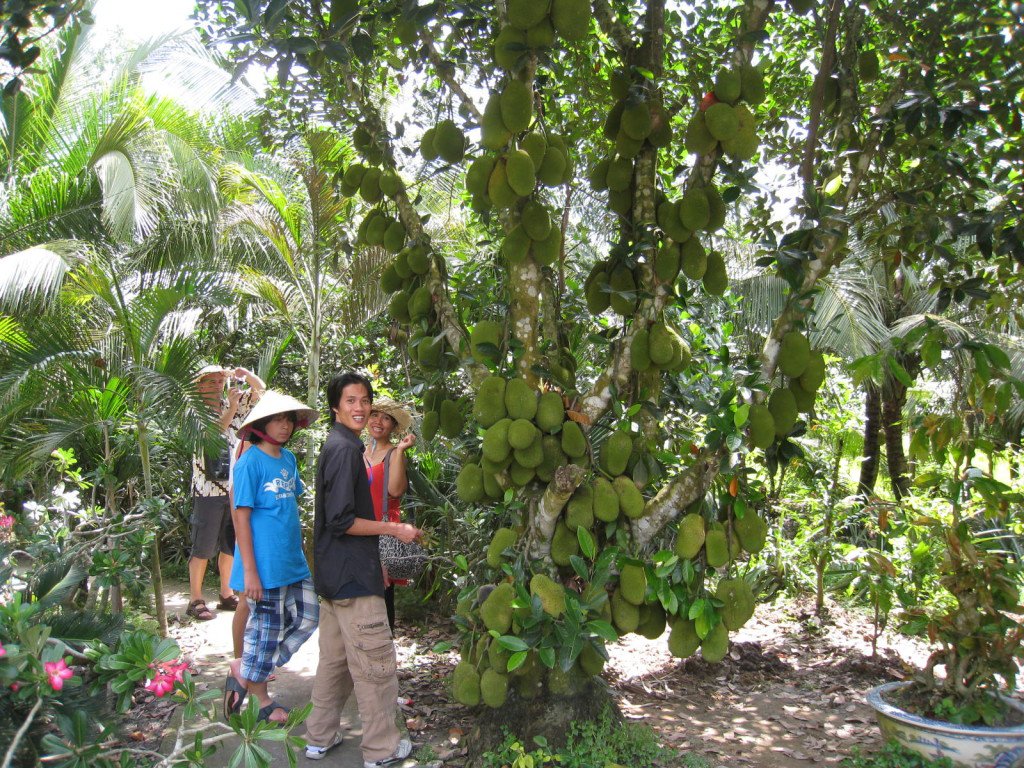 Homestay Mỹ Thuận và mô hình cây trái