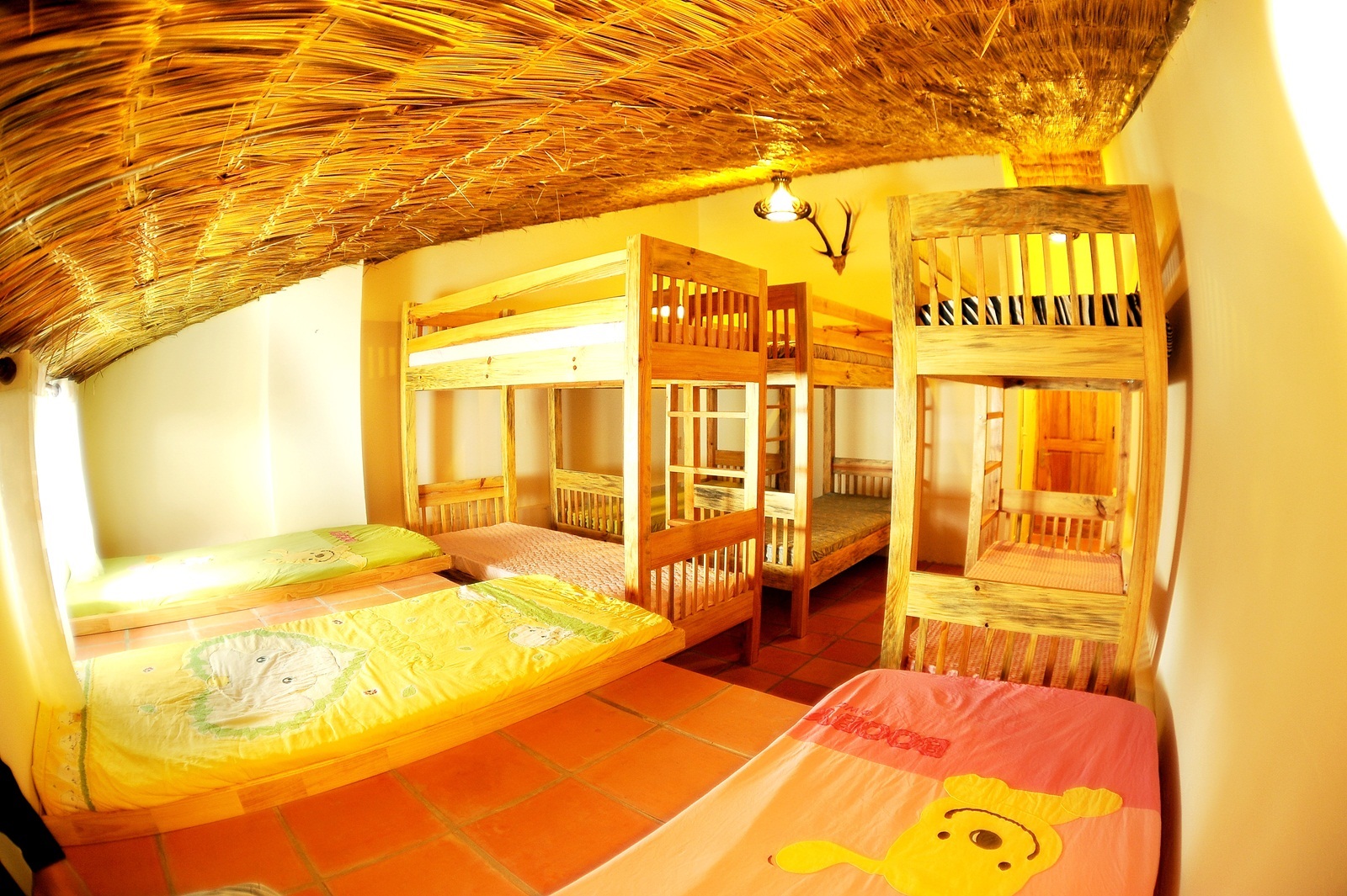 phòng tập thể tại DaLat Flower hostel and Spa