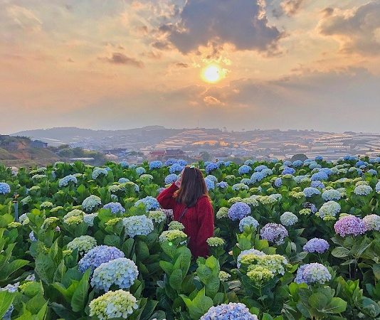 Top những street style đi Đà Lạt không thể bỏ qua