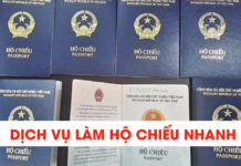 Top 4 Công Ty Dịch Vụ Làm Hộ Chiếu Nhanh Uy Tín